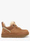 chesnut
