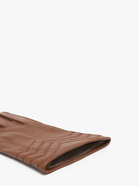 Gants Isotoner Marron women gloves 85359 vue secondaire 1