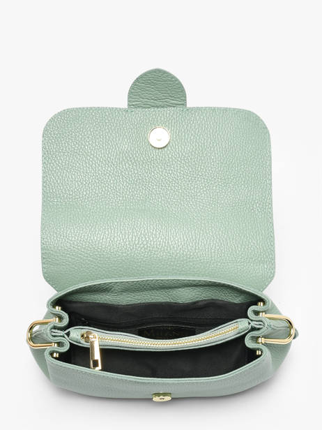 Sac Porté Main Velvet Caviar Cuir Milano Vert velvet caviar VC25114 vue secondaire 3
