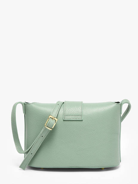 Sac Bandoulière Velvet Caviar Cuir Milano Vert velvet caviar VC25115 vue secondaire 4