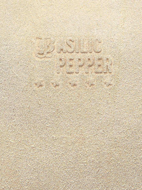 Sac Bandoulière Houston Cuir Basilic pepper Beige houston BHOU82 vue secondaire 4