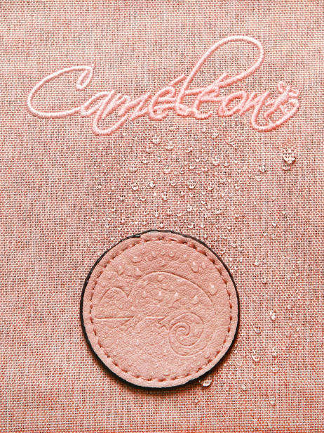 Cartable 2 Compartiments Cameleon Rose vintage color CA38 vue secondaire 8
