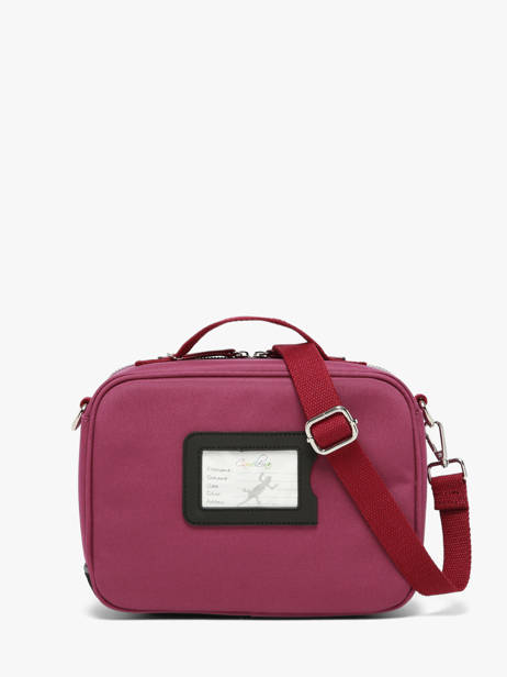 Sac Gouter Cameleon Violet vintage fantasy BL24 vue secondaire 5