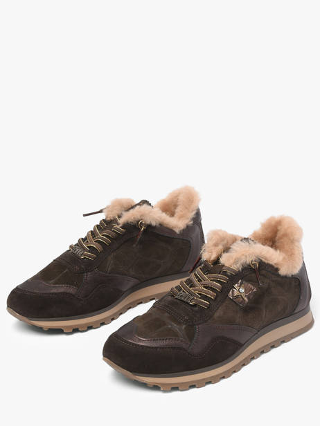 Sneakers Cetti Marron women SRA vue secondaire 2
